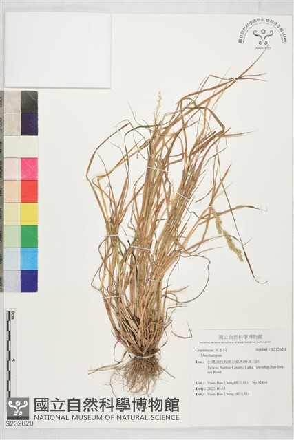 登錄號:S232620藏品圖，第1張