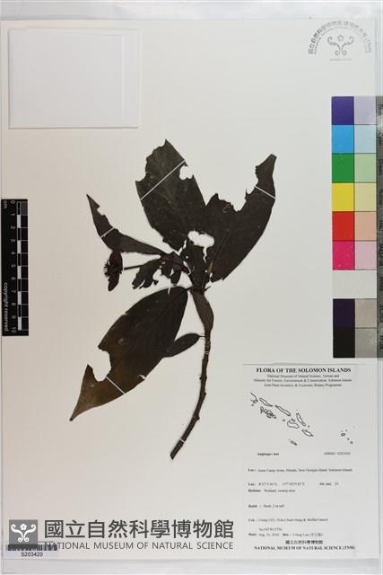 登錄號:S203420藏品圖，第1張