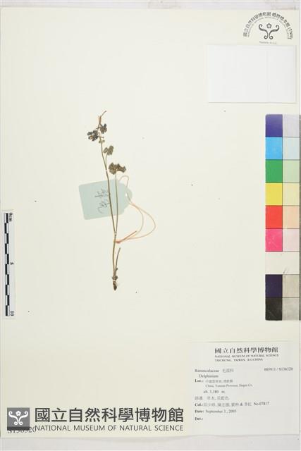 登錄號:S136320藏品圖，第1張