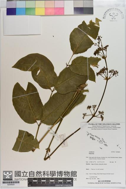 登錄號:S200820藏品圖，第1張