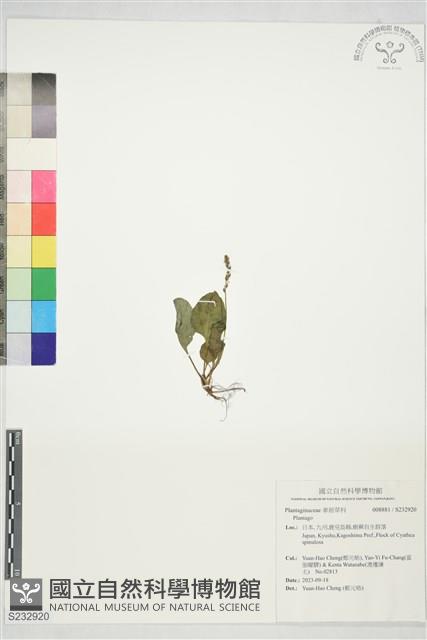 登錄號:S232920藏品圖，第1張