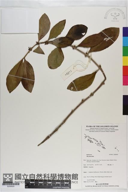 登錄號:S200920藏品圖，第1張