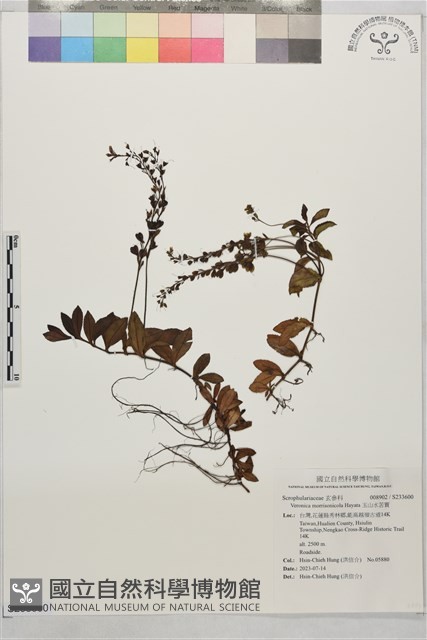 玉山水苦賈藏品圖，第1張