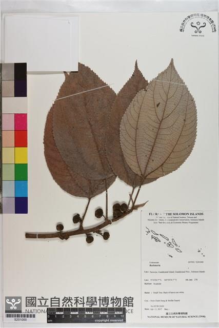 登錄號:S201000藏品圖，第1張