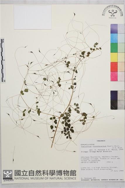 登錄號:S094000藏品圖，第1張