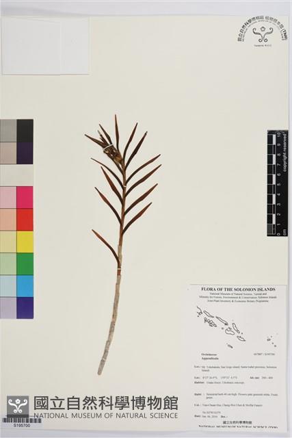 登錄號:S195700藏品圖，第1張