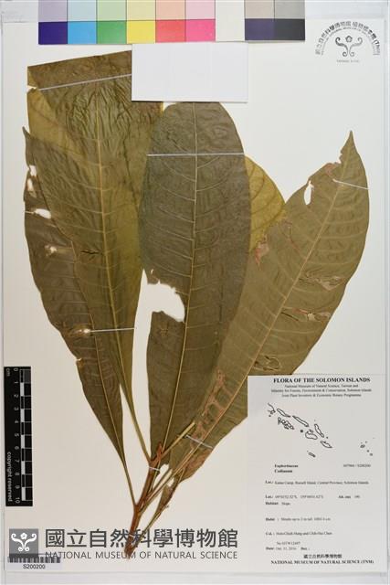 登錄號:S200200藏品圖，第1張