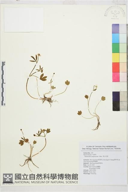 Accession Number:S110200 Collection Image