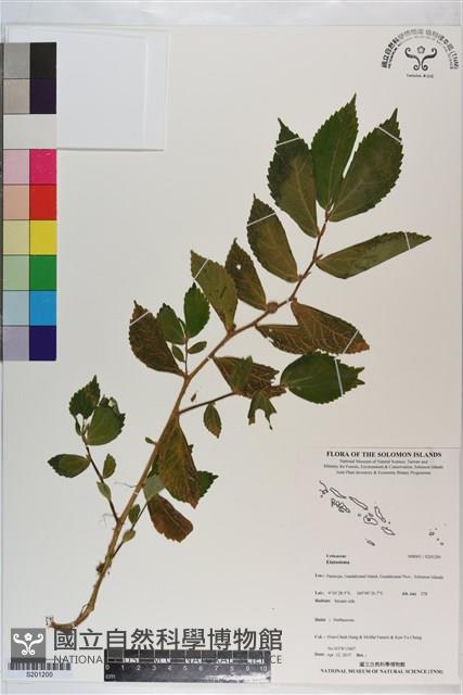 登錄號:S201200藏品圖，第1張