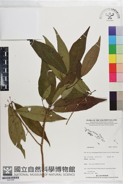 登錄號:S201400藏品圖，第1張