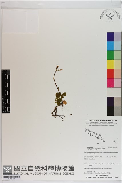 登錄號:S200100藏品圖，第1張