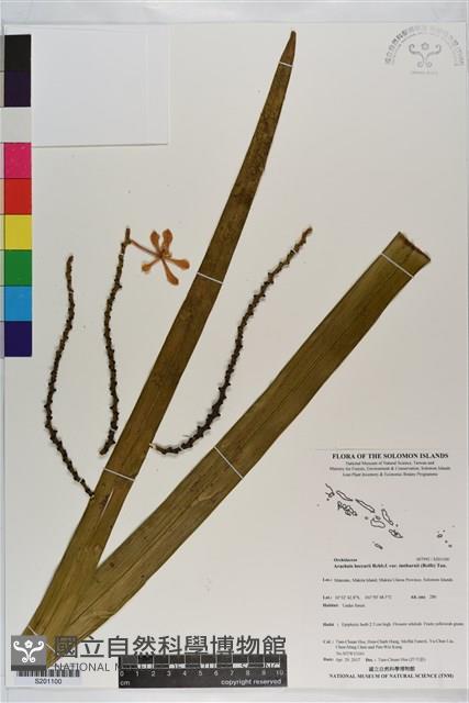 登錄號:S201100藏品圖，第1張