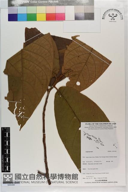 登錄號:S203300藏品圖，第1張