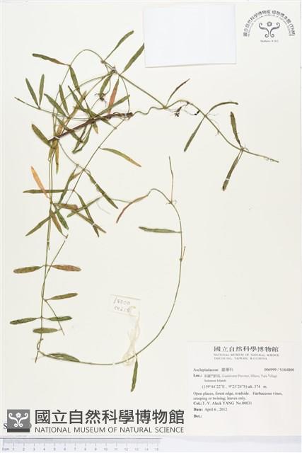 登錄號:S164800藏品圖，第1張