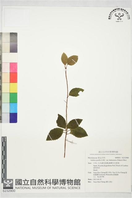 登錄號:S232900藏品圖，第1張