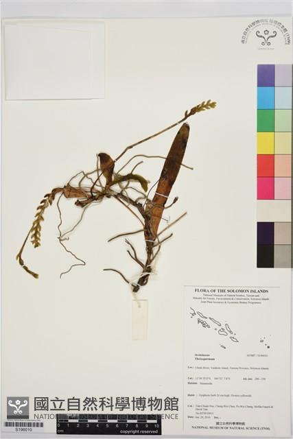 登錄號:S196010藏品圖，第1張