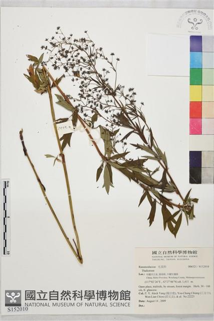 登錄號:S152010藏品圖，第1張