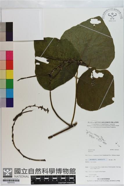 登錄號:S201010藏品圖，第1張