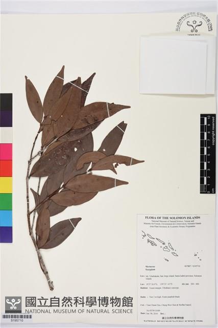 登錄號:S195710藏品圖，第1張