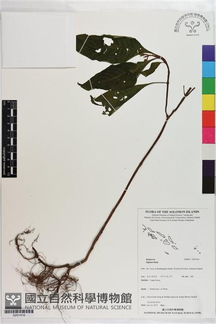 登錄號:S201410藏品圖，第1張