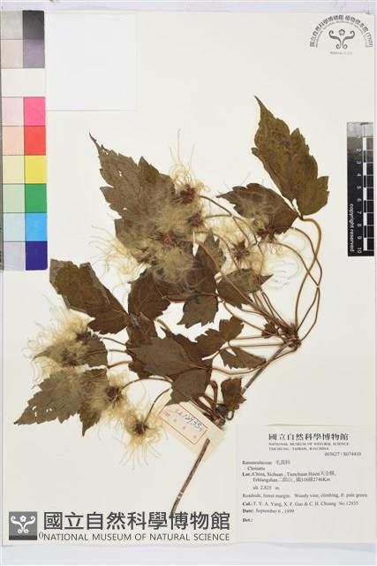 登錄號:S074410藏品圖，第1張