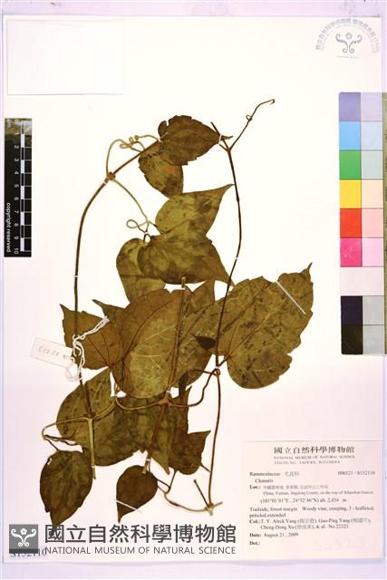 登錄號:S152110藏品圖，第1張