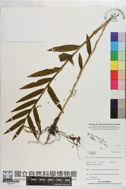 登錄號:S201310藏品圖，第1張