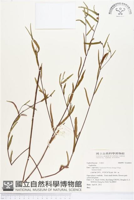 登錄號:S164810藏品圖，第1張