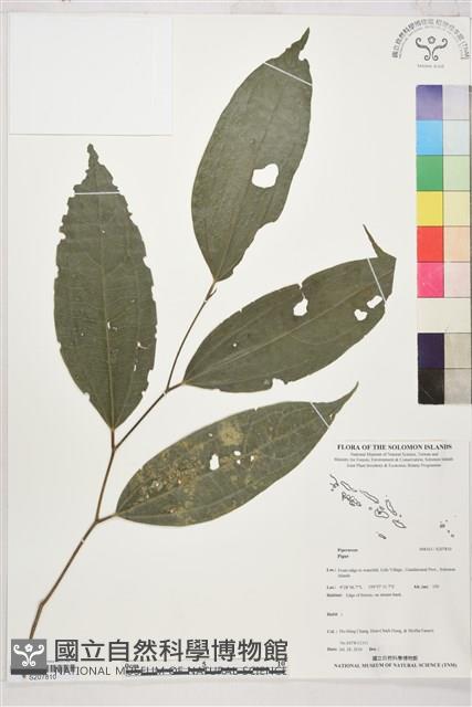 登錄號:S207810藏品圖，第1張