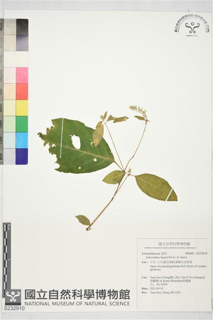 登錄號:S232910藏品圖，第1張