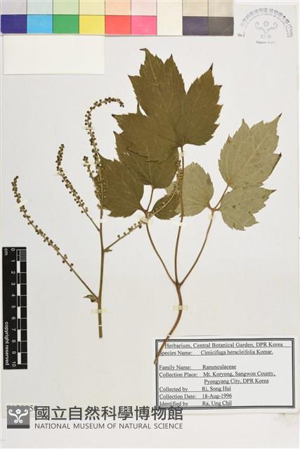 登錄號:S120050藏品圖，第1張