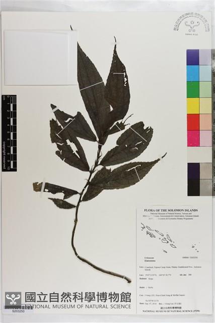 登錄號:S203250藏品圖，第1張