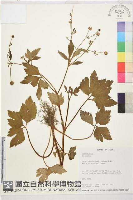 登錄號:S016450藏品圖，第1張