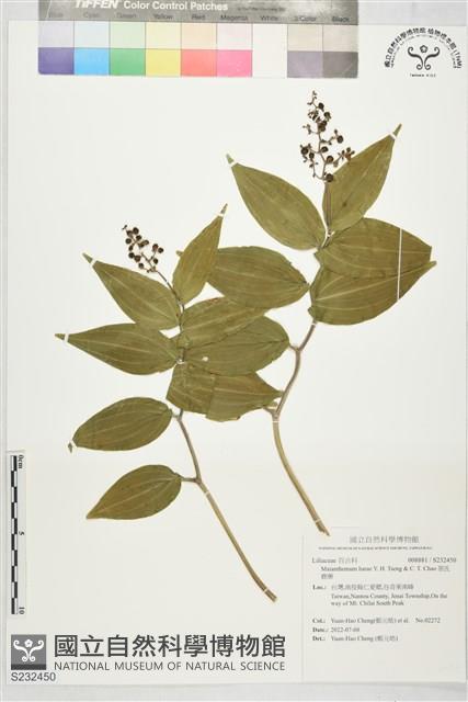 原氏鹿藥藏品圖，第1張