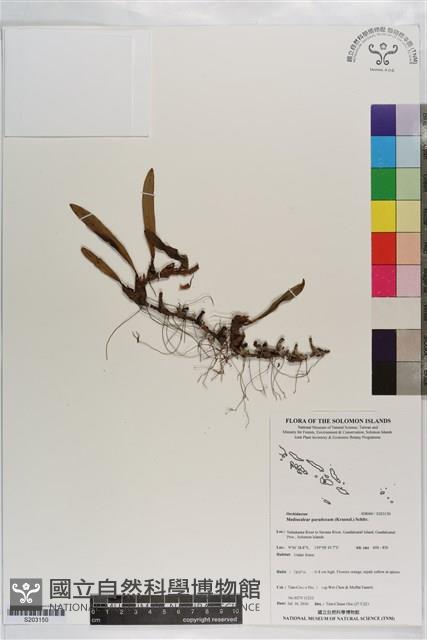 登錄號:S203150藏品圖，第1張