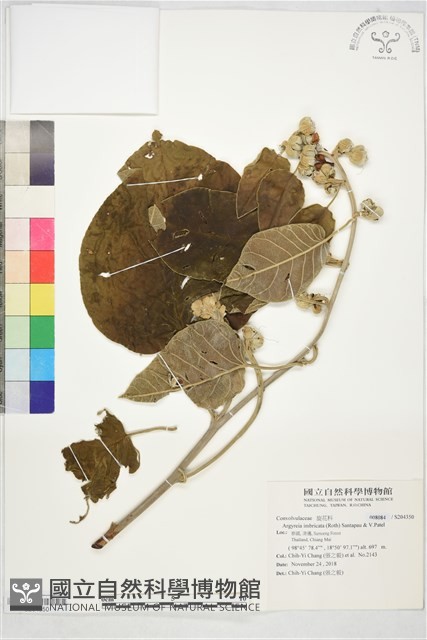 登錄號:S204350藏品圖，第1張