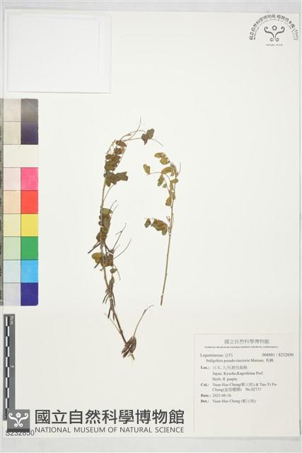 馬棘藏品圖，第1張