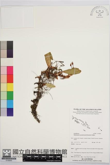 登錄號:S195850藏品圖，第1張