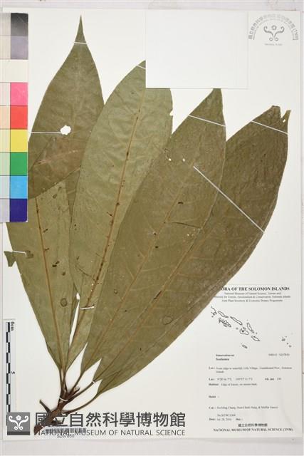 登錄號:S207850藏品圖，第1張