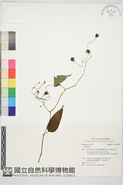 登錄號:S232950藏品圖，第1張