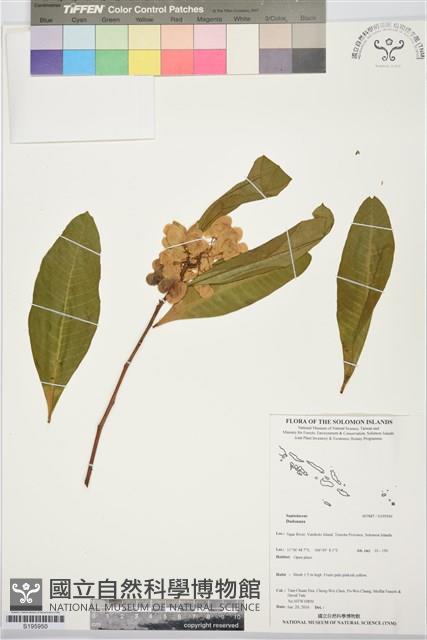 登錄號:S195950藏品圖，第1張