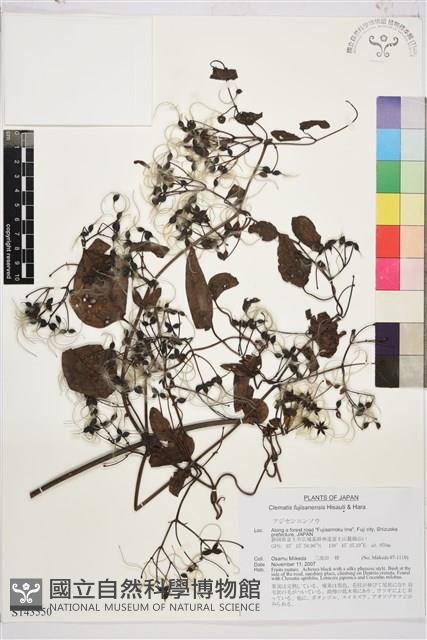 登錄號:S143550藏品圖，第1張