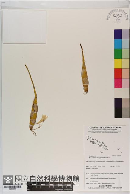 登錄號:S200090藏品圖，第1張