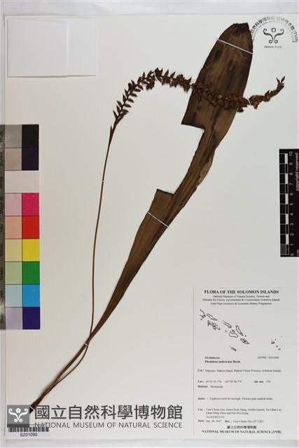 登錄號:S201090藏品圖，第1張