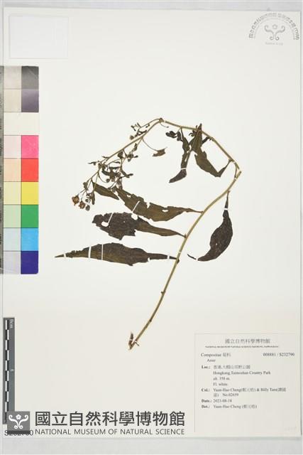 登錄號:S232790藏品圖，第1張