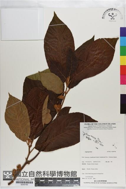 登錄號:S200790藏品圖，第1張