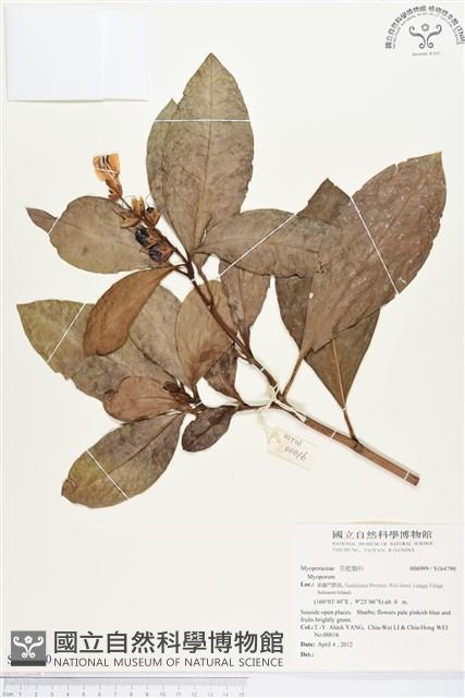 登錄號:S164790藏品圖，第1張