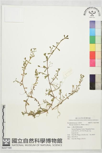 過長沙藏品圖，第1張