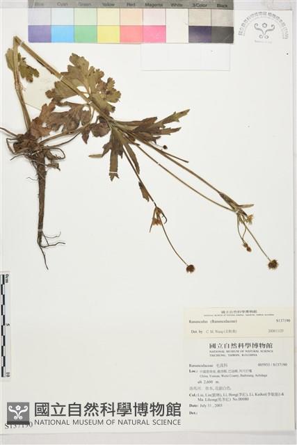 登錄號:S137190藏品圖，第1張