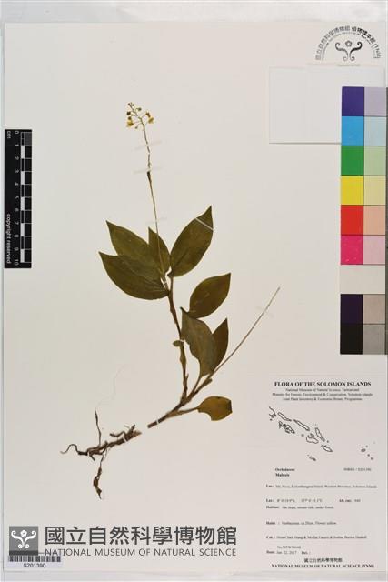 登錄號:S201390藏品圖，第1張